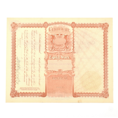 Crystal Spring Brewing Co Capital Stock Certificate 200 SHARES 1900