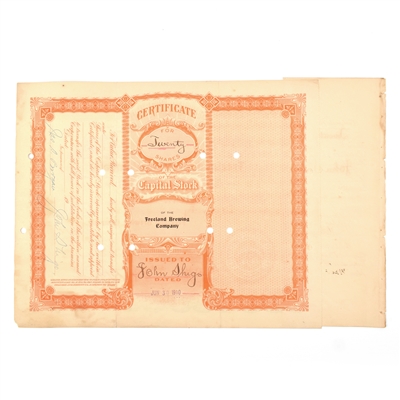 Freeland Brewing Co Capital Stock Certificate 20 SHARES 1910 CANCELLED